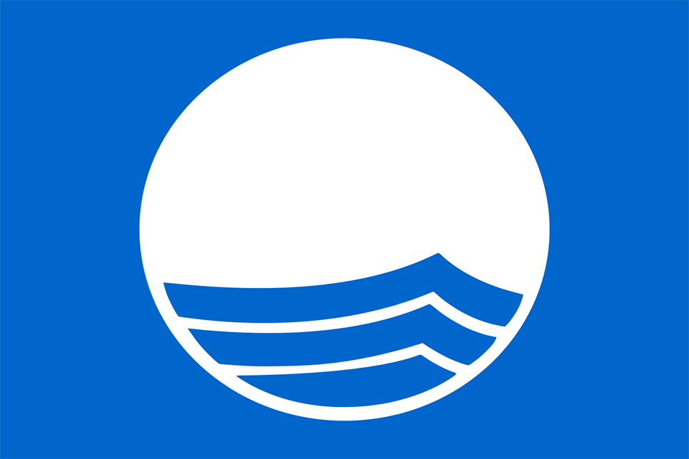 Blue-Flag-4230253778.png